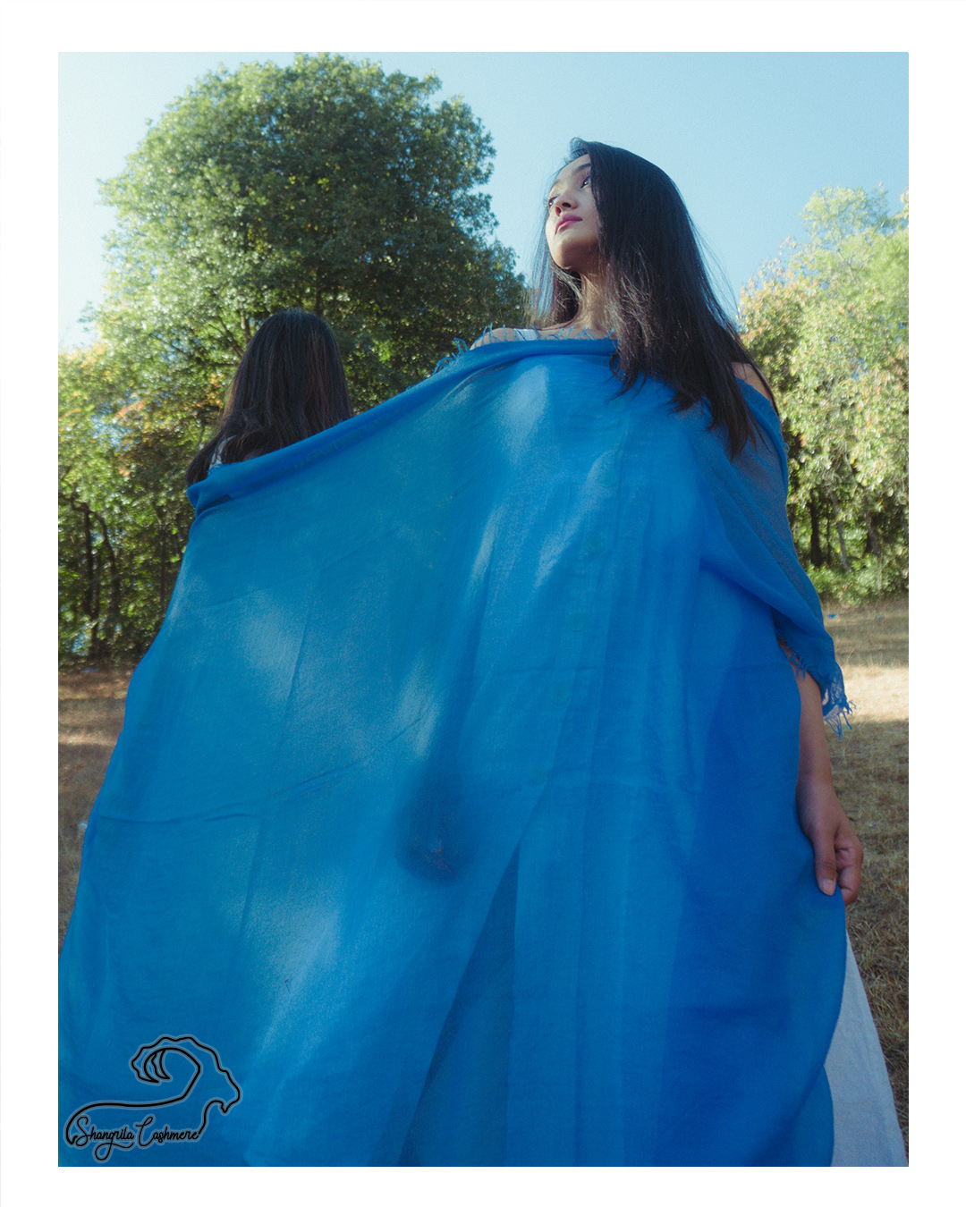 Feathery Cashmere Shawl